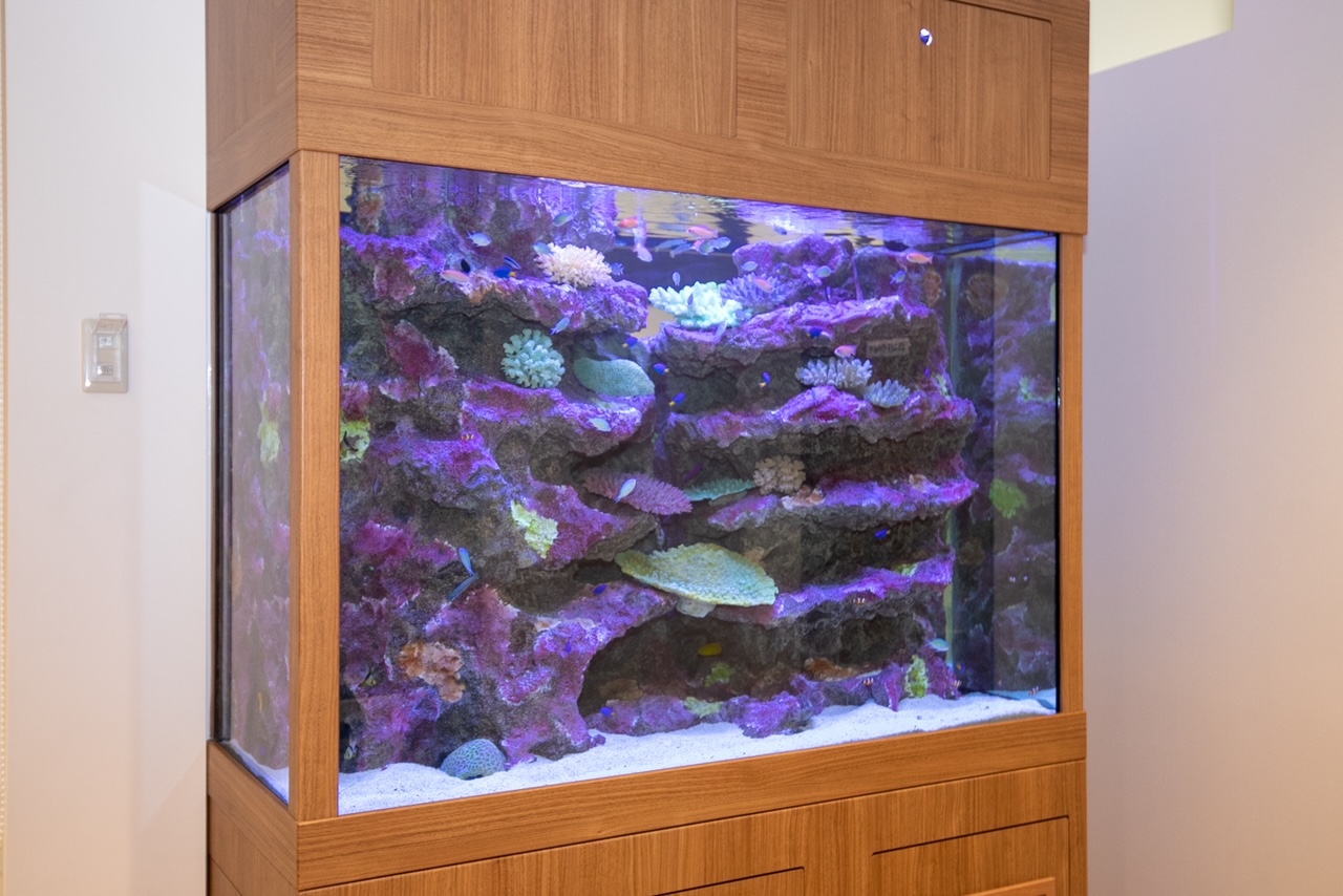 ビバモール蕨錦町メディカルゾーン